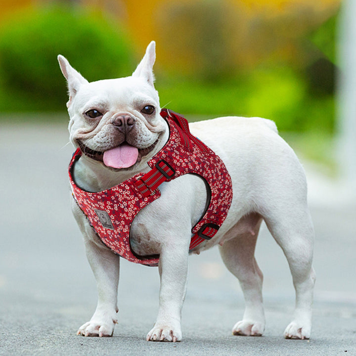Truelove - Floral Doggy Harness Red M