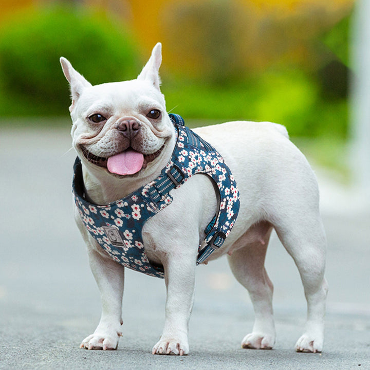 Truelove - Floral Doggy Harness Saxony Blue XL