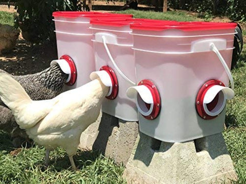 Cheeky Chooka - DIY Poultry Feeder Port 4pk