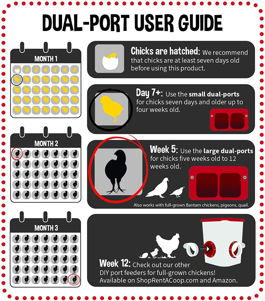 Cheeky Chooka - Dual Chick Feeder Port Kit