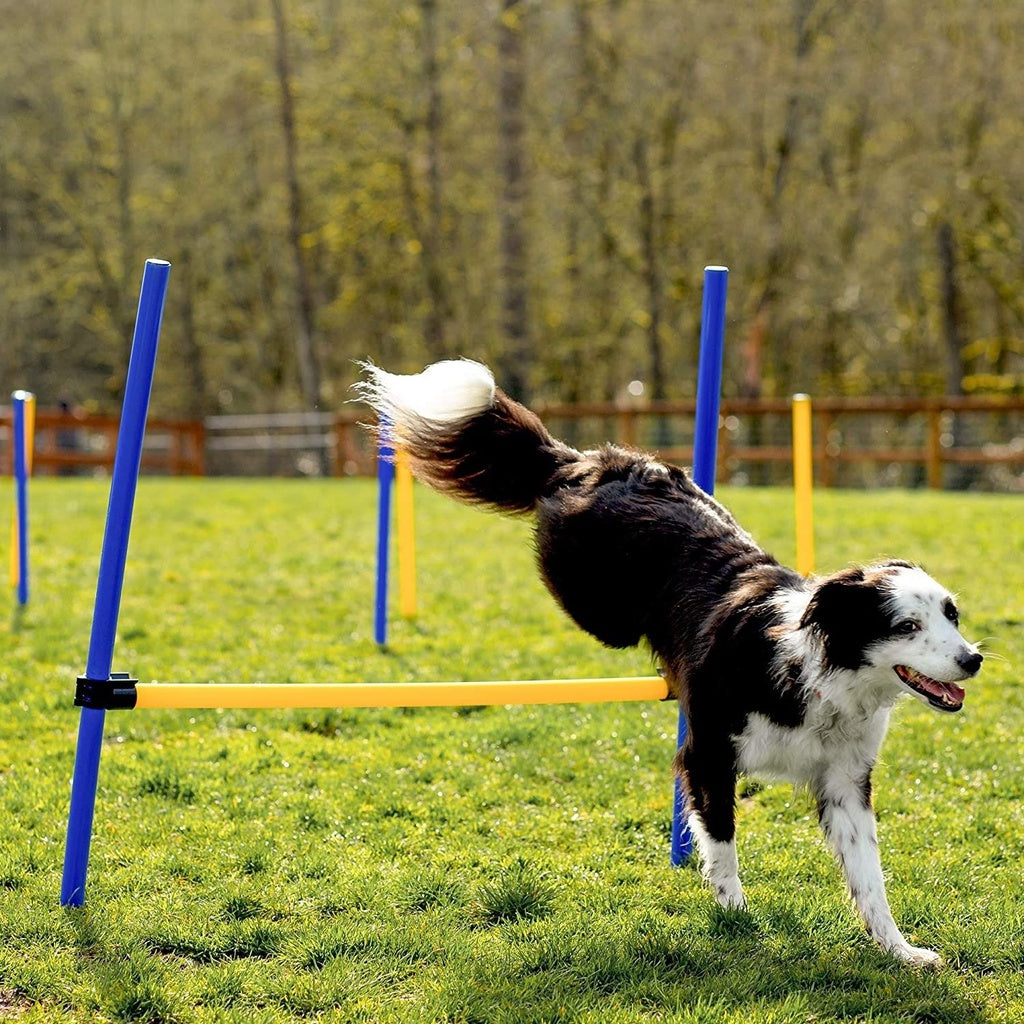Floofi - Dog Agility Training Set