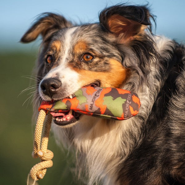 Major Dog Rascal Dummy Fetch Toy – Perfect for Small and Medium Dogs