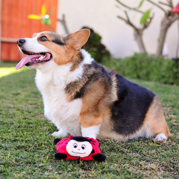 Zippy Paws Squeakie Pad Lady Bug - No Stuffing Plush Dog Toy