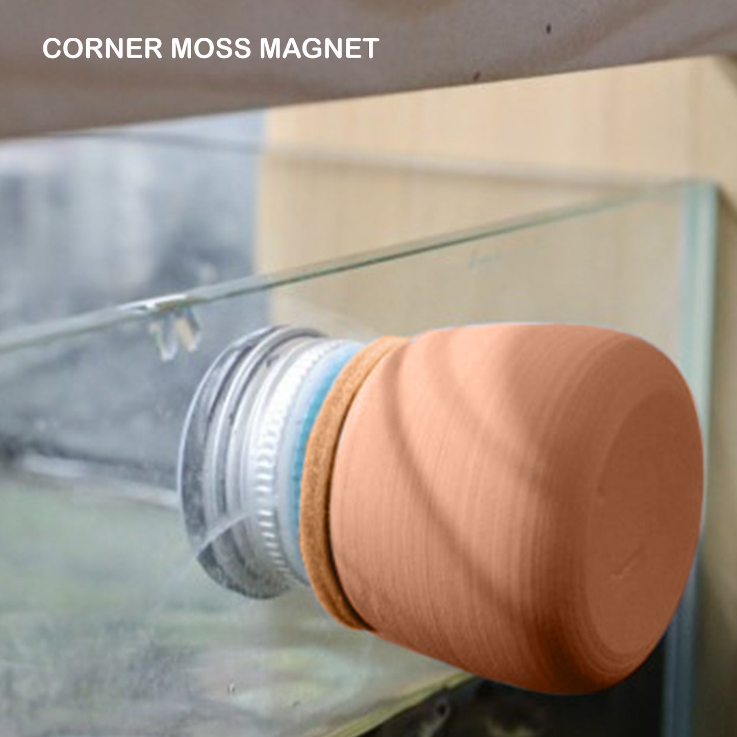 Minfactory - Fish Tank Corner Moss Magnet Scraper Glass - Brown