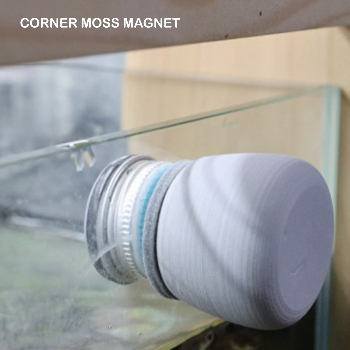 Minfactory - Fish Tank Corner Moss Magnet Scraper Glass - Grey