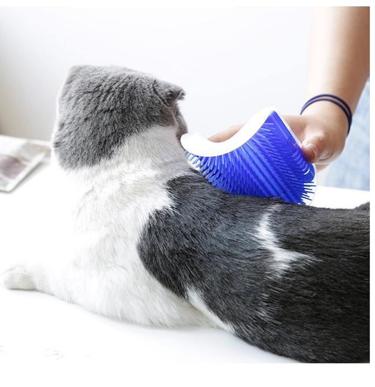 Cat Self Groomer Catnip Dog Cat Toy Corner Groomer Wall Corner Scratcher Comb Grooming Massage Brush - Blue