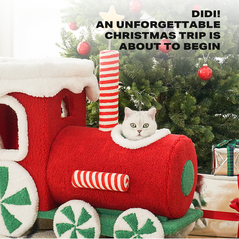 Christmas Cat Train