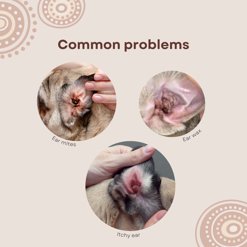 Goomaroo - Ear Care Solution 120ml