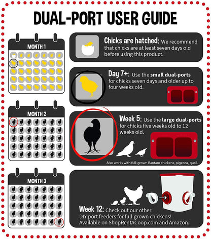 Cheeky Chooka - Dual Chick Feeder Port Kit