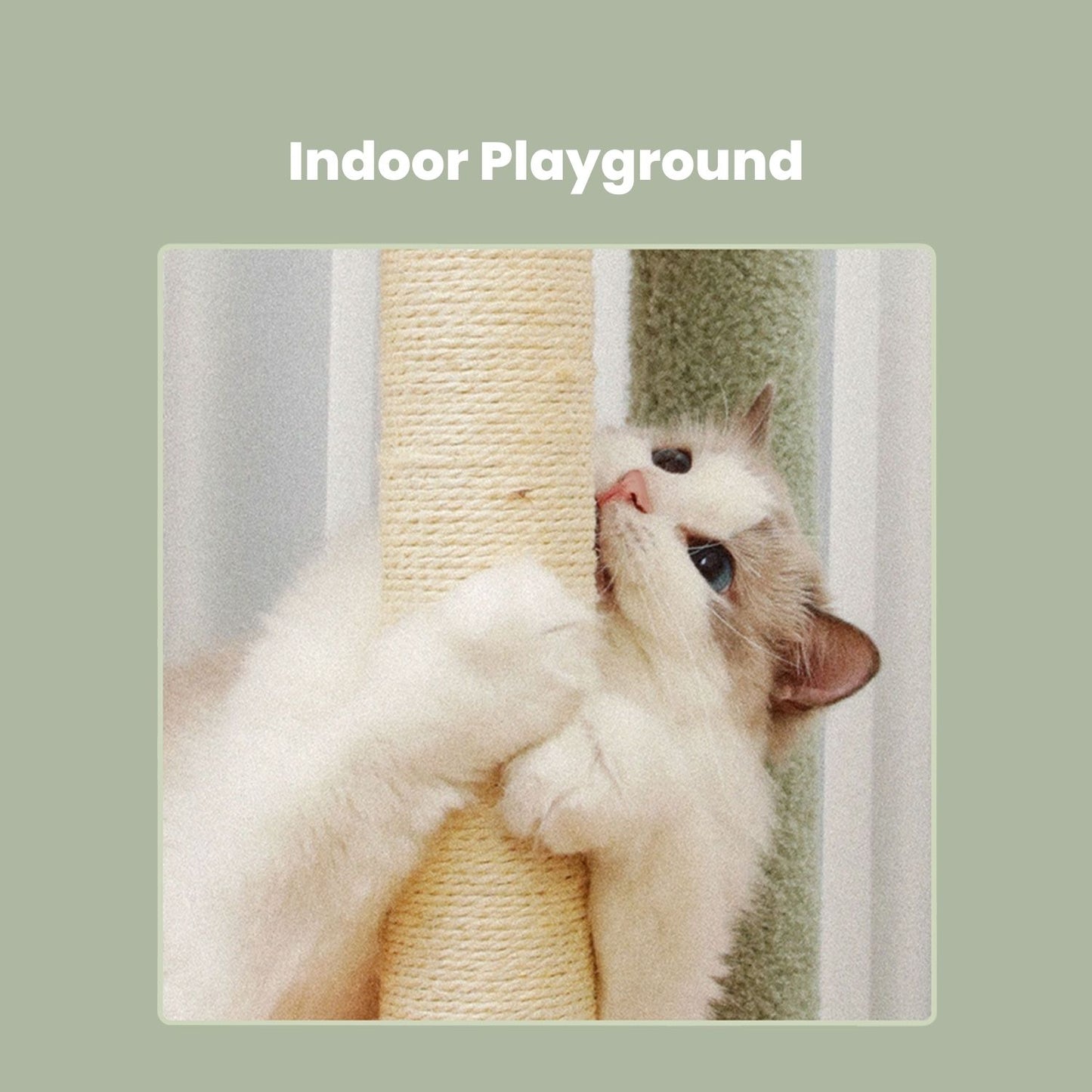 Floofi - 143cm Dinosaur Cat Condo Cat Tree - Green