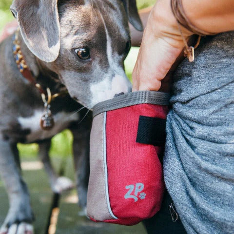 Zippy Paws Treat Bag - Desert Red | Portable Belt Adventure Dog Training Treat Bag