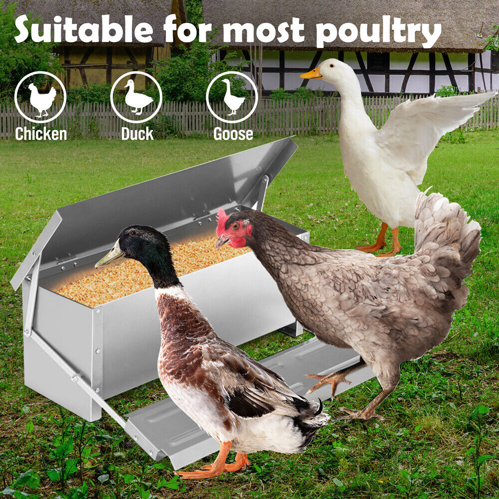 10KG Automatic Chicken Feeder – 12.5L Garden Farm Food Storage Box Stand for Poultry