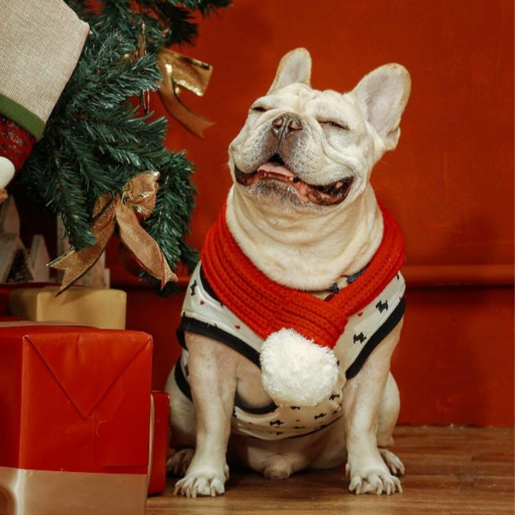 Pet Christmas Wool Scarf Saliva Towel - Size Xs