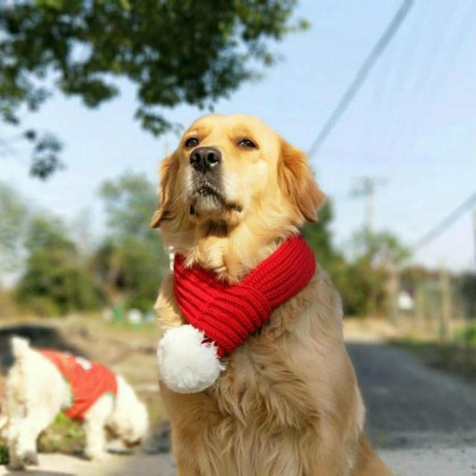 Pet Christmas Wool Scarf For Medium & Large Dog Saliva Towel